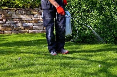 Issaquah Lawn Service