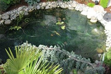 Issaquah Water Features