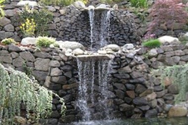 Issaquah Water Gardens