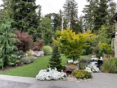 Issaquah Yard Clean Up