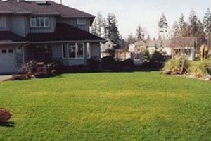 King County Backyard Makeover