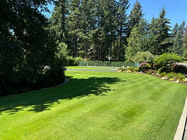 King County Lawn Maintenance