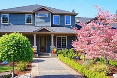 Kirkland Tree Trimming