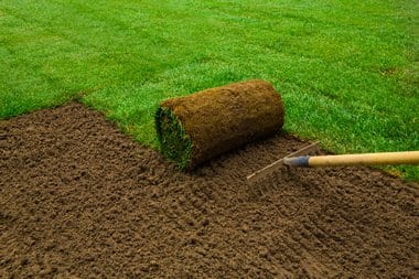 Lakeland Hills Sod Grass