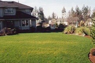 Orting Land Clearing