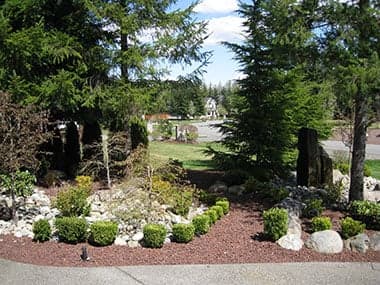 Ravensdale Fall Yard Clean Up