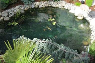 Ravensdale Water features