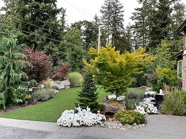 Ravensdale Yard Clean Up