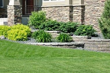 Renton Summer Lawn Care