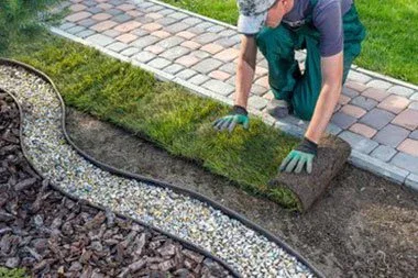 South King County Grass Sod