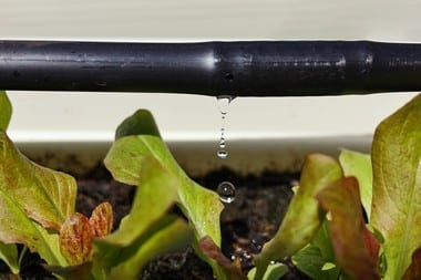South Prairie Drip Irrigation System