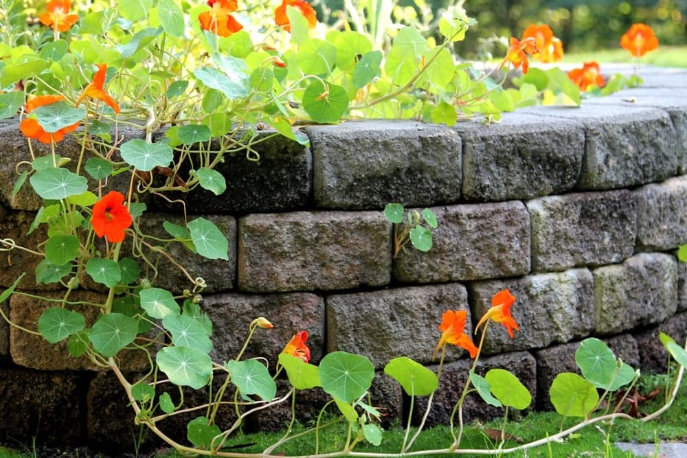 retaining-wall-contractors-fall-city-wa