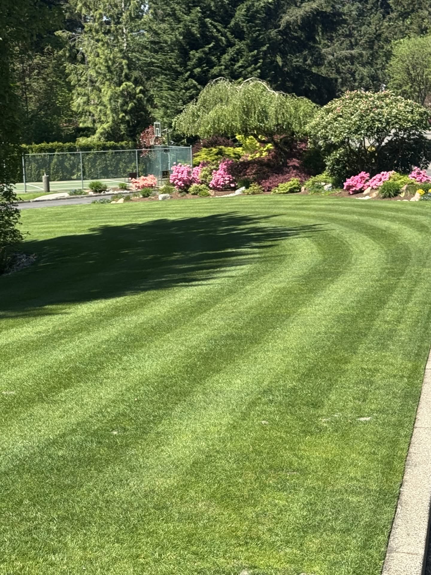 Exceptional Black Diamond lawn care in WA near 98010