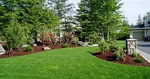 Irrigation-Sprinkler-Sammamish-WA