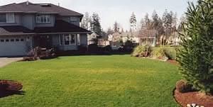 Irrigation-Sprinklers-Installation-Kirkland-WA