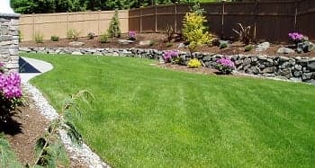 Overseeding-Lawn-Ravensdale-WA