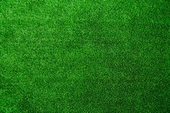 Beautiful North Bend synthetic turf in WA near 98045