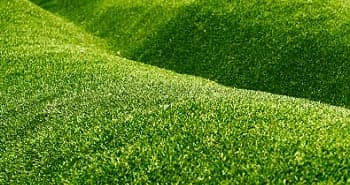 artificial-turf-medina-wa