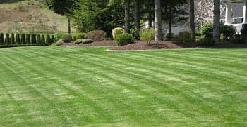 Front-Yard-Landscaping-Kent-WA