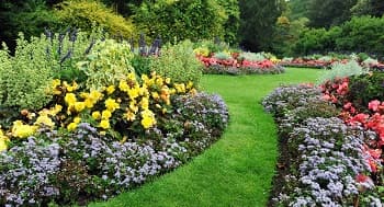 Lawn-Service-Lake-Tapps-WA