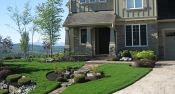 Plant-Services-Des-Moines-WA