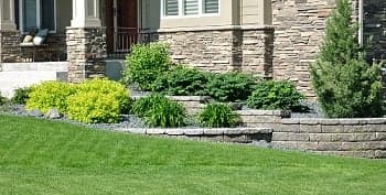 spring-yard-clean-up-federal-way-wa