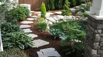 Lawn-Care-Tips-Kent-WA
