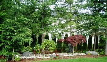 Planting-Grass-Seed-Ravensdale-WA