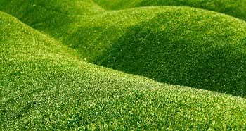 Sod-Installation-Ravensdale-WA