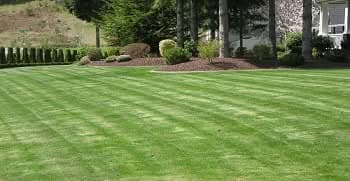 Backyard-Makeover-Newcastle-WA