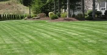 Front-Yard-Landscaping-Kent-WA