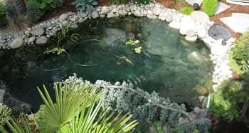 Rock-Garden-Hobart-WA
