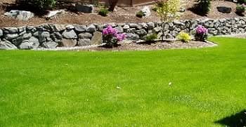 Landscape-Lights-Kirkland-WA