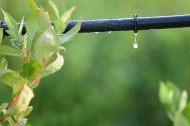 Sprinkler-Winterization-Auburn-WA