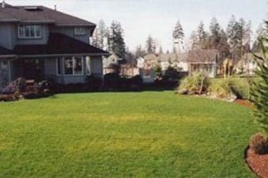 artificial-turf-buckley-wa