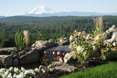Landscaping-Bushes-Clyde-Hill-WA