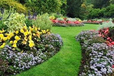 Lawn-Service-Auburn-WA