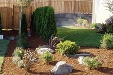 Plant-Services-Clyde-Hill-WA