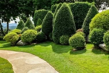 Landscaping-Trees-Buckley-WA
