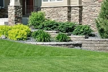 Lawn-Care-Tips-Auburn-WA
