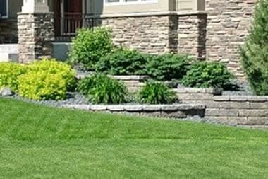 Lawn-Care-Tips-Black-Diamond-WA