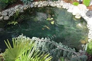 Rock-Garden-Auburn-WA