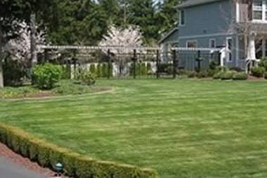Irrigation-System-Buckley-WA