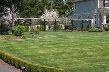 Landscape-Design-Bellevue-WA