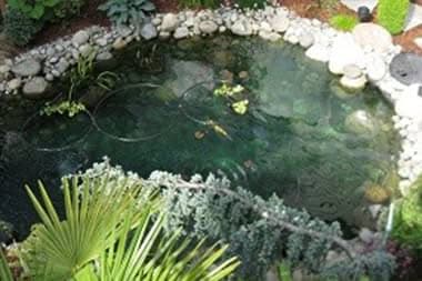 Landscape-Design-Plans-Bellevue-WA