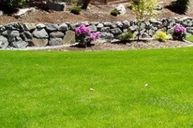 Landscape-Designer-Bellevue-WA