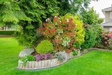 Lawn-Maintenance-Clyde-Hill-WA