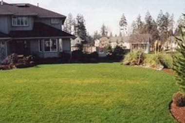 Lawn-Service-Clyde-Hill-WA