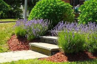 Mulch-Installation-Clyde-Hill-WA