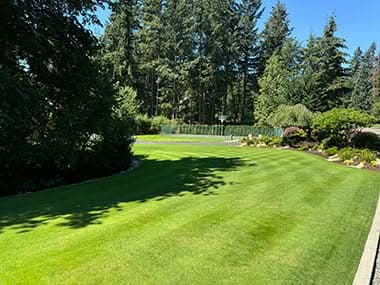Professional Black Diamond lawn maintenance in WA near 98010